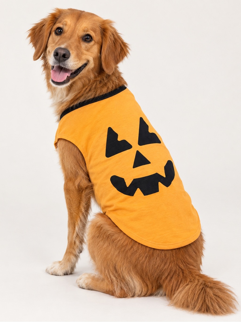 Orange Pumpkin Jack-O'-Lantern Dog Tee